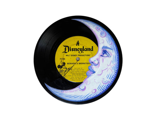 Original Hand Painted Vinyl Record 🪴